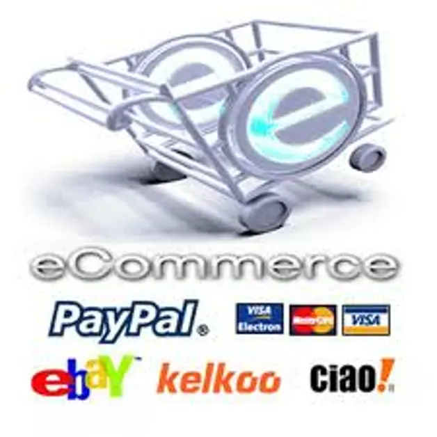 Truffa su internet, raggirati 25 mila cittadini, tra cui anche torresi