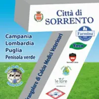 Sorrento. Quadrangolare di calcio dei Medici Veterinari