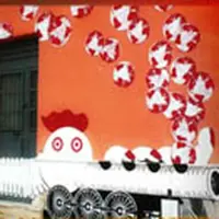 Boscoreale. La giornata ecologica dell´associazione Stella Cometa