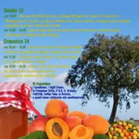 Trecase. La "Festa contadina", alla riscoperta delle tradizioni