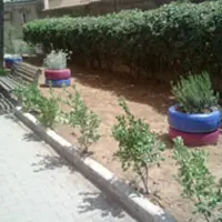 Il rinato senso civico dei cittadini torresi. C´è grande voglia di fare