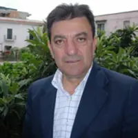 Commissioni consiliari, Portoghese: discussione in Consiglio