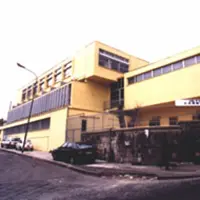 Topi in aula e nei corridoi, protestano gli studenti dell´Istituto "Cesàro"