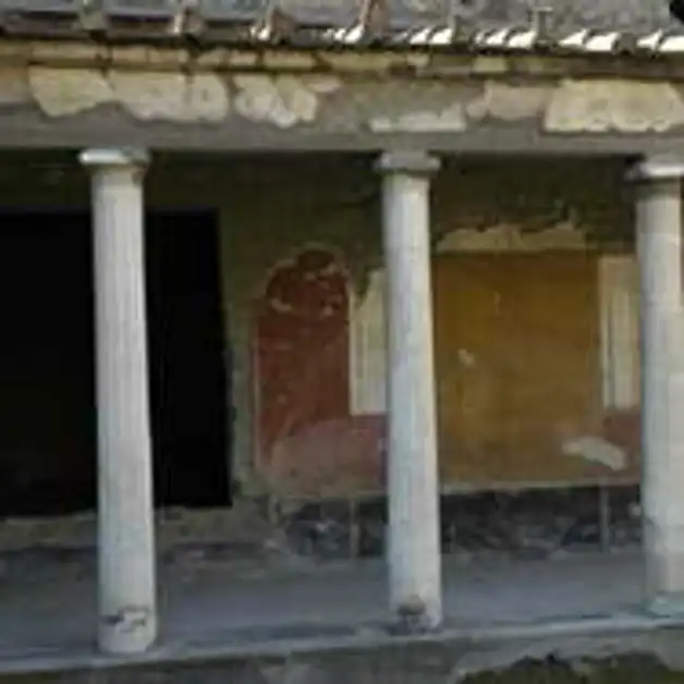 Le piante della Villa di Poppea. Gli studi della professoressa Jashemski