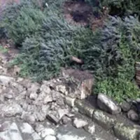 Crolla un muro borbonico agli scavi di Pompei, critiche dalla Cisl