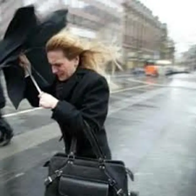 C.mmare di Stabia. Mal tempo. gravi danni in città e nei Comuni limitrofi