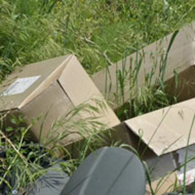 Trecase. Sversamenti illegali di farmaci scaduti in via Cifelli