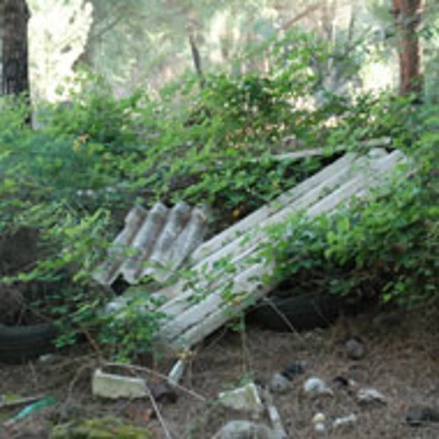 Parco Nazionale del Vesuvio, lo scempio degli sversamenti illegali