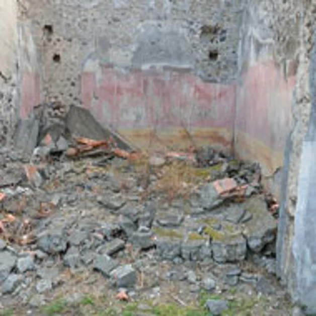 I sindacati: «Scavi di Pompei abbandonati». Sotto accusa Ministero e SANP