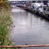 Lettera Del Gaudio all´assessore regionale Cosenza: prima disinquinare il Sarno