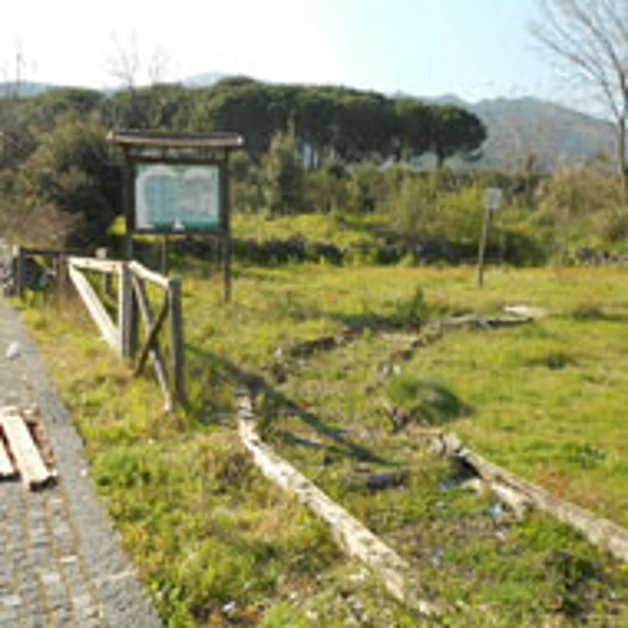Terzigno. Il degrado della pineta del Vesuvio