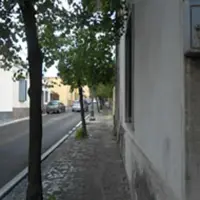 Trecase. Via Vesuvio e lo scempio degli alberi "piangenti"