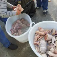 Boscoreale. Operazione antiabusivismo commerciale