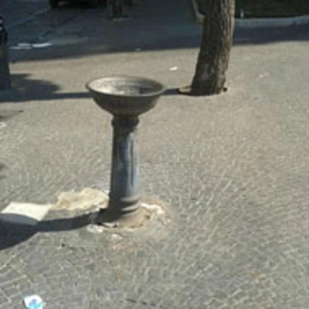 Fontanina di via G. Alfani fuori uso: la denuncia del M5S 