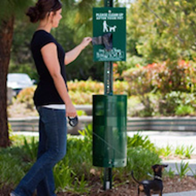 Deiezioni canine in strada e sui marciapiedi, ordinanza del sindaco Starita