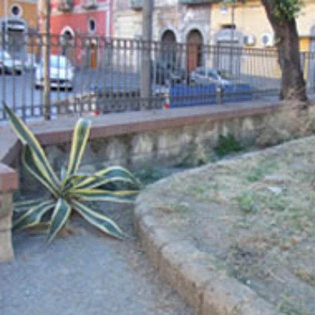 Luci d´Artista per la festa del 22 ottobre ed il Natale. M5S critica il sindaco