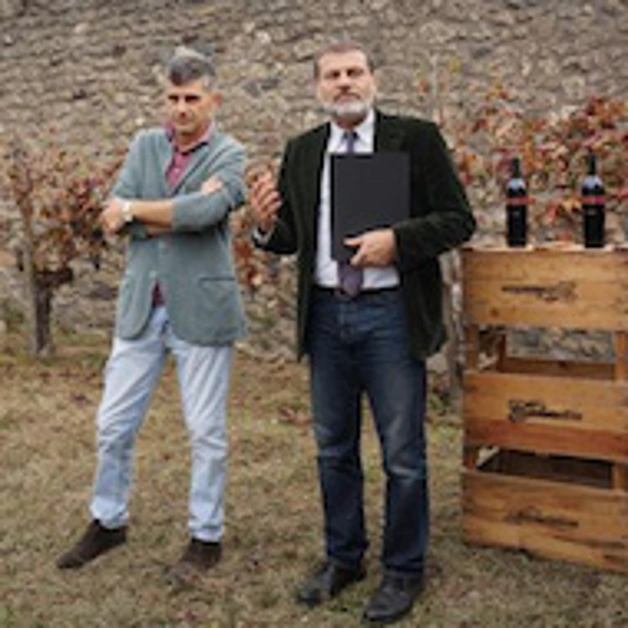 Pompei. La tradizione della vendemmia negli Scavi 