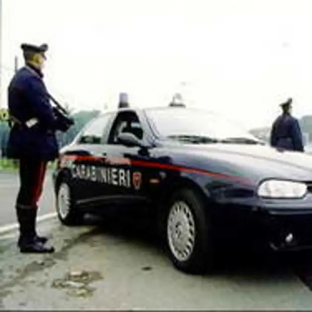 Festa Patronale, vasta operazione dei carabinieri di contrasto all´illegalità