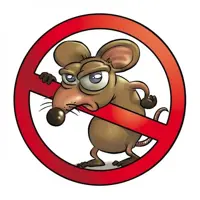 Torre del Greco. Derattizzata la zona di via Piscopia