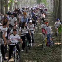 Pompei. "Bimbimbici 2015", tutto pronto per la XVI edizione