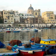 Contributi fitti, pubblicati i Bandi per gli anni 2005/2006