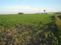 Battipaglia - Carabinieri bloccano 10 lavoratori marocchini irregolari