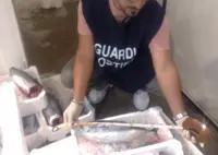 Napoli - La Guardia costiera sequestra una tonnellata e mezza di pesce