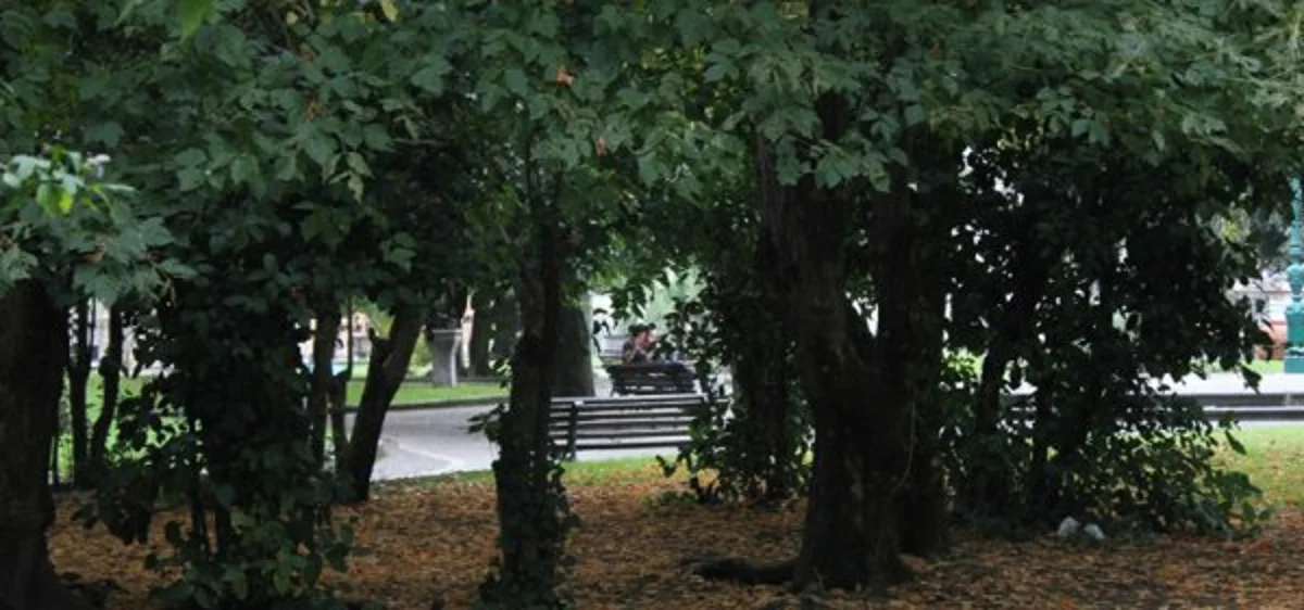 Nola - Stop agli abbattimenti degli alberi monumentali nella Villa nolana
