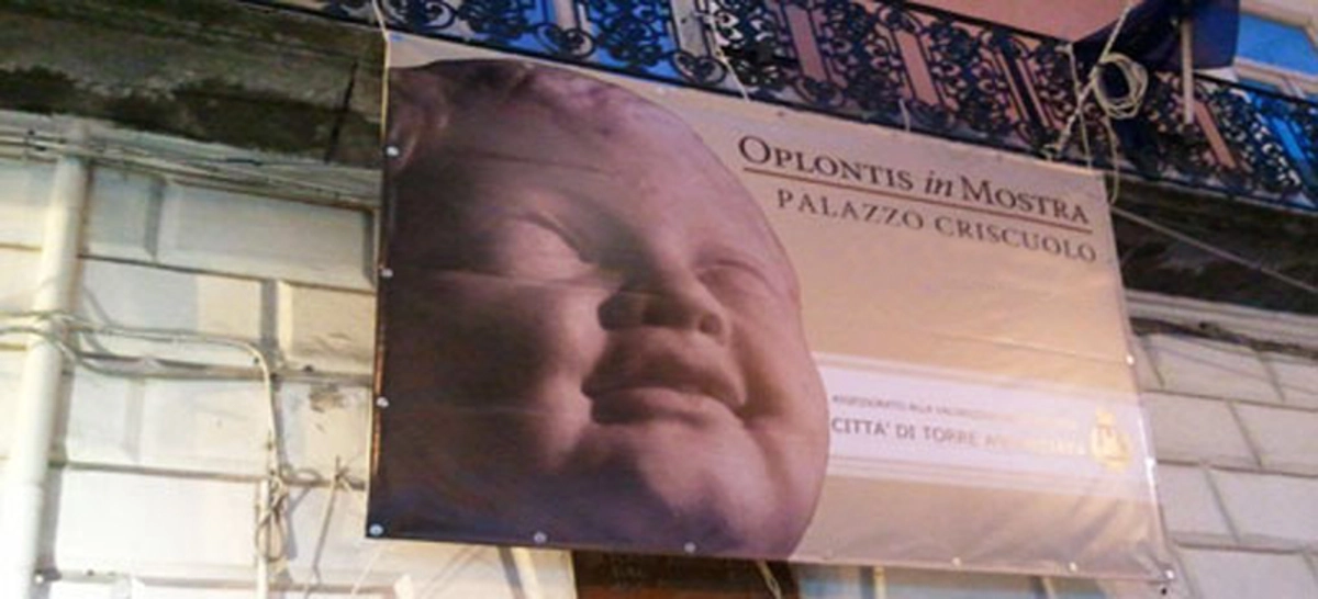 Decolla il progetto della mostra-evento a Palazzo Criscuolo. La Regione stanzia 190 mila euro