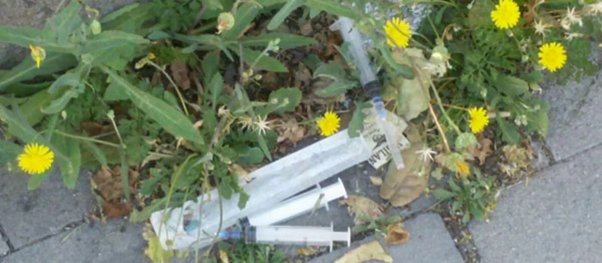 Torre del Greco - Viale Campania, siringhe in strada. La denuncia della consigliera Gorga (Pd)