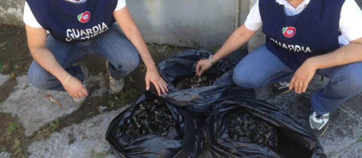 Vendita abusiva di frutti di mare, operazione della Guardia Costiera 