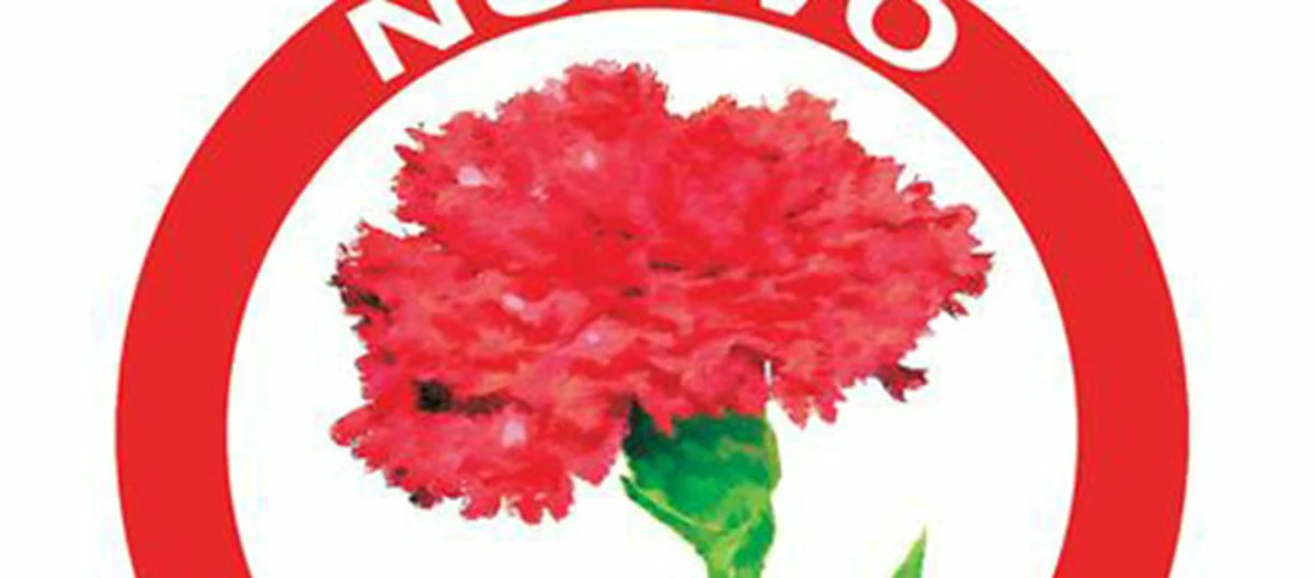 Nuovo Psi di Torre Annunziata, Refuto replica: «Né espulso né decaduto»