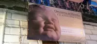 Torre Annunziata, da ottobre a dicembre Palazzo Criscuolo diventerà un museo
