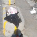 Torre Annunziata - Il "monnezza tour" di Insieme per Torre: viaggio nel degrado 