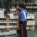 Striano (SA) - Lavoro "nero" e condizioni sanitarie precarie, denunciati due amministratori di azienda agricola