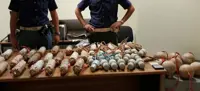 Afragola (NA) - Sequestrati 25 ordigni esplosivi al Rione Salicelli