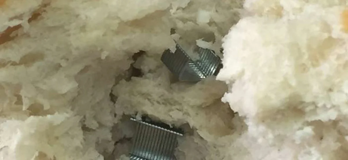 San Giorgio a Cremano - Punti metallici di una spillatrice in un panino della mensa scolastica