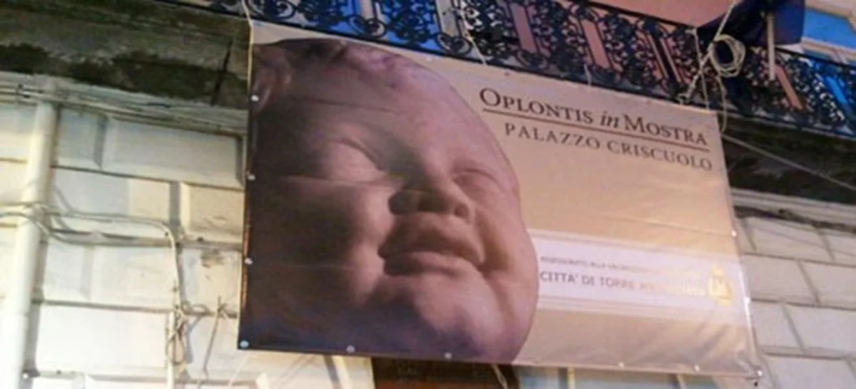 Mostra su Oplontis a Palazzo Criscuolo, maledetta burocrazia