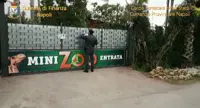 Saviano (NA) - Finanzieri sequestrano zoo e parco giochi abusivi