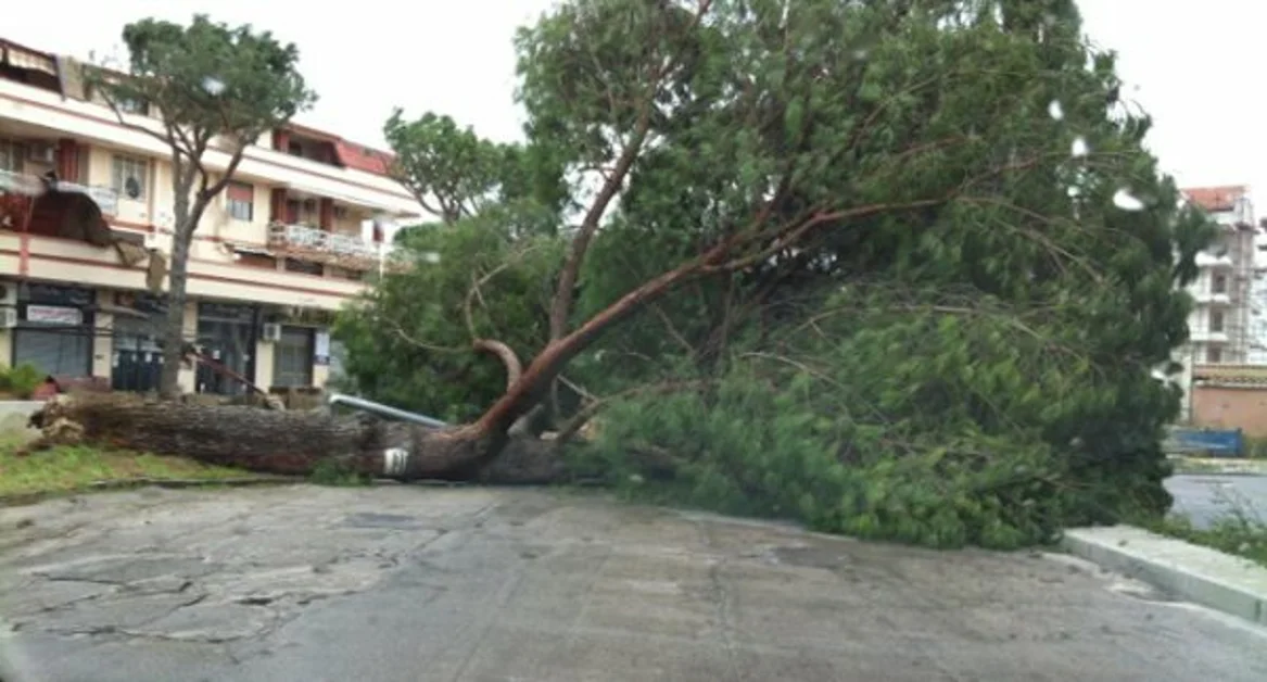 Maltempo e vento forte, danni a Napoli e provincia