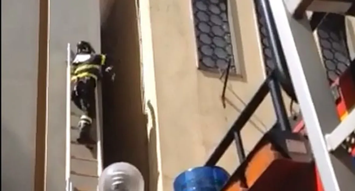 Torre Annunziata - Piccione intrappolato  sulla chiesa della SS. Trinità, salvato dai vigili del fuoco