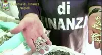 Napoli - Sgominate filiere del falso nel settore dell'abbigliamento, 53 arresti