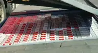 Striano (NA) - Sequestrate 8 tonnellate di sigarette di contrabbando, cinque arresti