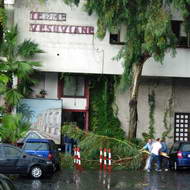 Terme Vesuviane, si stacca un grosso ramo da un albero