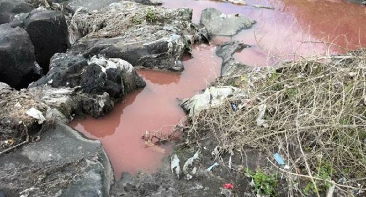 Industria scaricava vernici e solventi in mare, denunciati i titolari