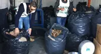 Maddaloni (CE) - GdF sequestra oltre 17 kg di botti illegali in una cantina, denunciato proprietario