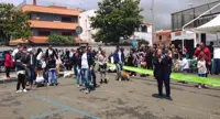 Torre Annunziata - Mostra canina "Oplonti's dog", oltre cento cani in... passerella