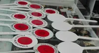 Capua (CE) - Palette segnaletiche delle Forze dell'Ordine contraffatte: denunciate due persone