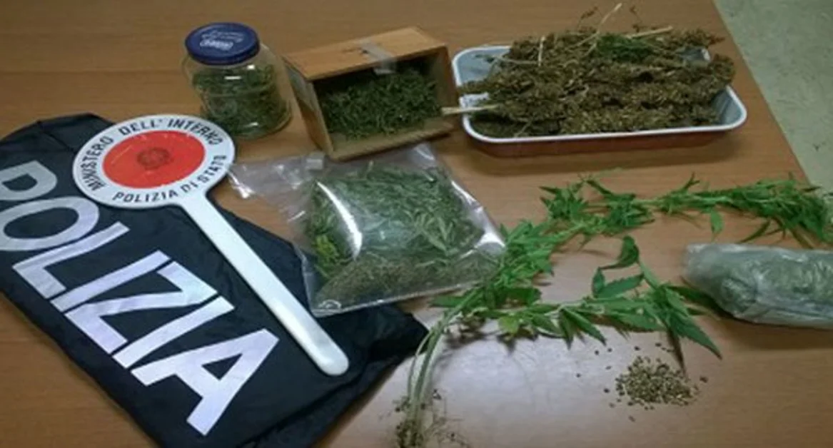 Avellino - Coltivava marijuana in casa, in manette 43enne di Capriglia Irpina