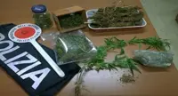 Campagna (SA) - 4,5 kg di marijuana nella villa di un commerciante ebolitano, arrestato